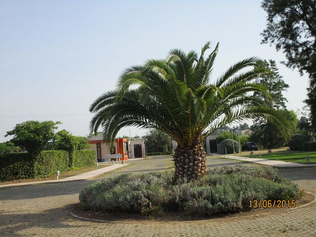 FV Stella Sud